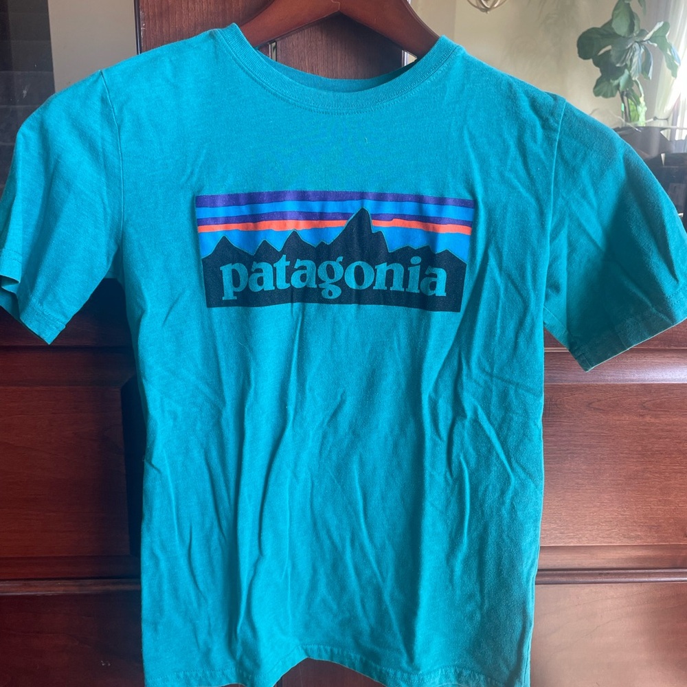 Patagonia Teal Crewneck T-Shirt with Logo Print
